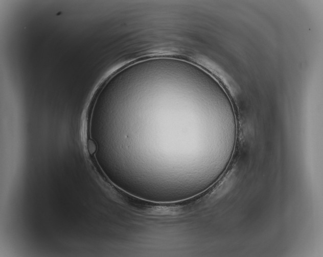 X0000101991179200807251220