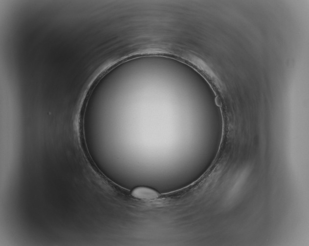 X0000101991181200807251220