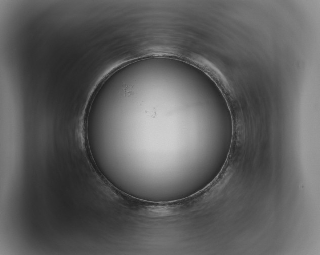 X0000101991182200807251220