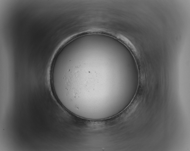X0000101991183200807251220