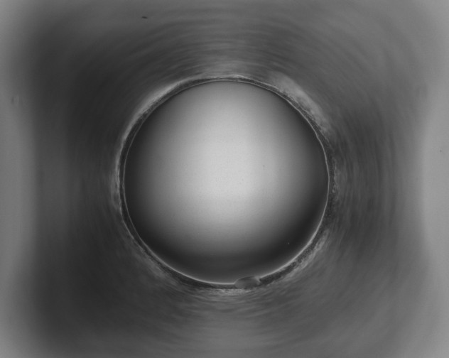 X0000101991184200807251220