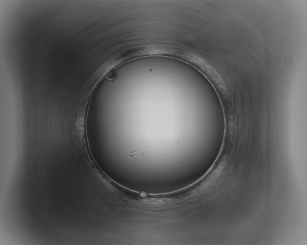 X0000101991185200807251220
