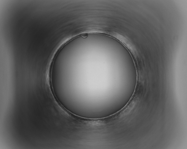 X0000101991189200807251220