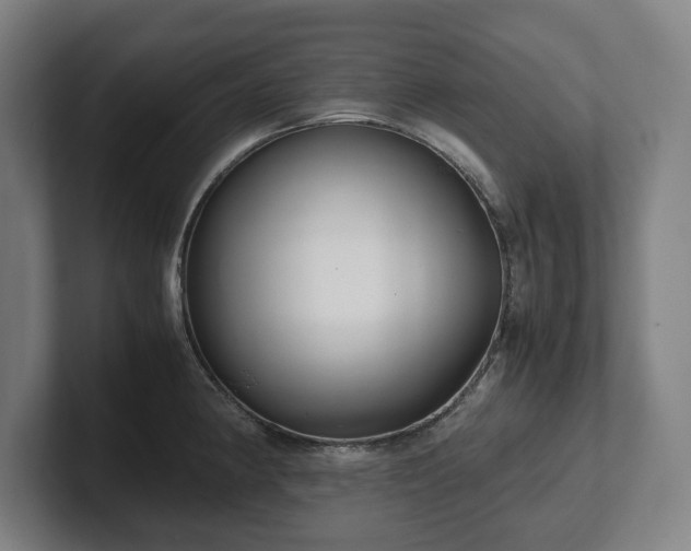 X0000101991190200807251220