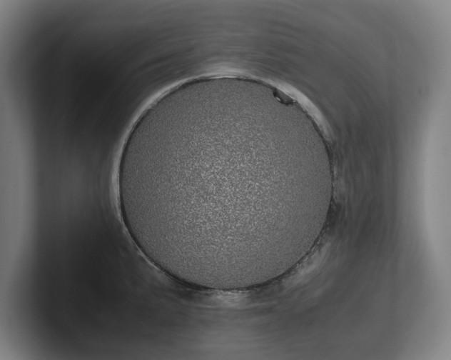 X0000101991191200807251220