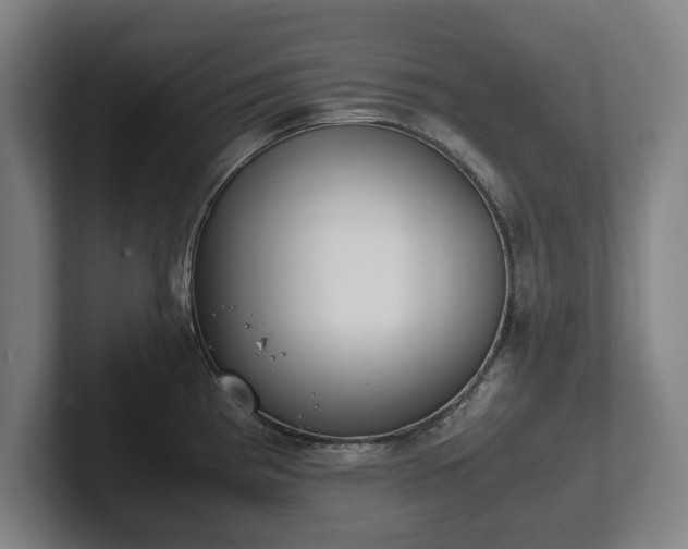 X0000101991193200807251220