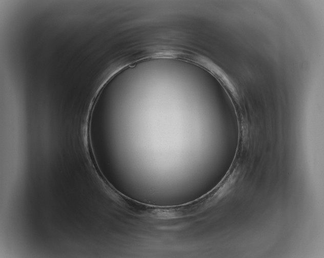 X0000101991194200807251220