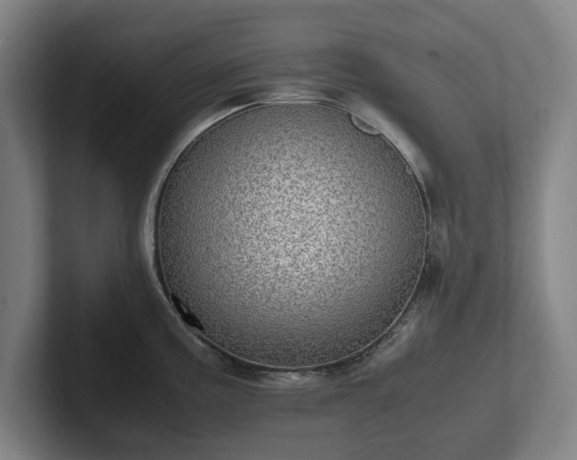 X0000101991195200807251220