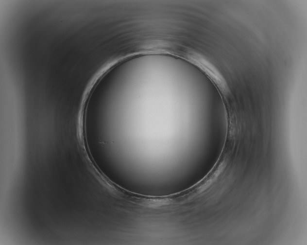 X0000101991196200807251220