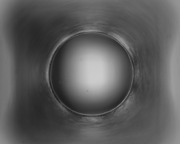 X0000101991197200807251220