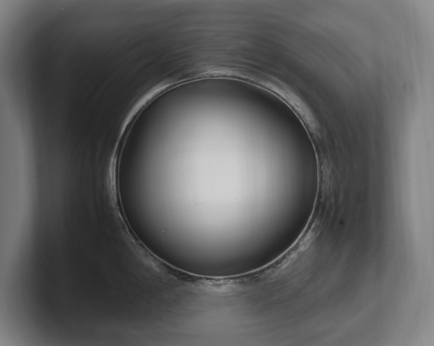 X0000101991198200807251220