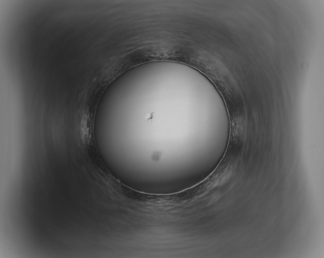 X0000101991202200807251219