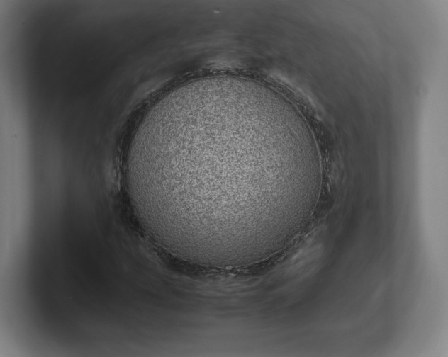 X0000101991207200807251219