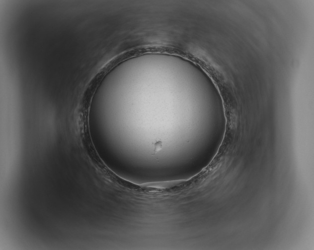 X0000101991208200807251219