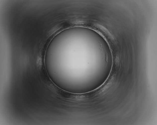 X0000101991209200807251219