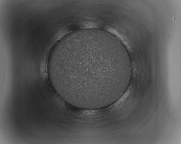 X0000101991211200807251219