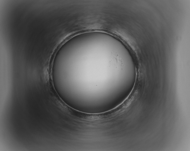 X0000101991212200807251219
