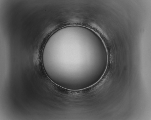 X0000101991213200807251219