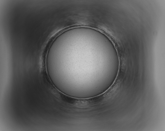 X0000101991215200807251219