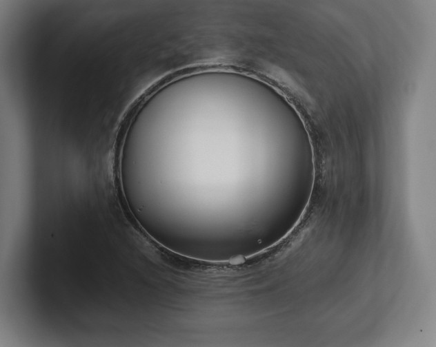 X0000101991216200807251219