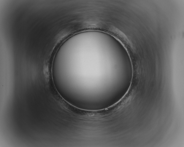 X0000101991218200807251219