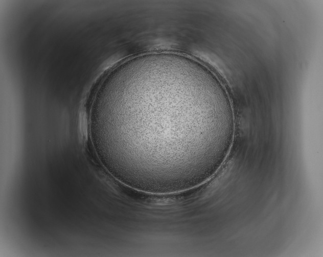 X0000101991219200807251219