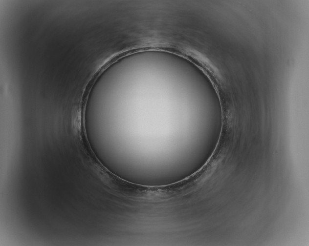 X0000101991220200807251219