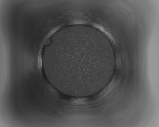 X0000101991221200807251219