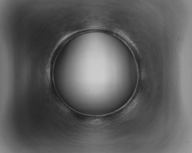 X0000101991222200807251219