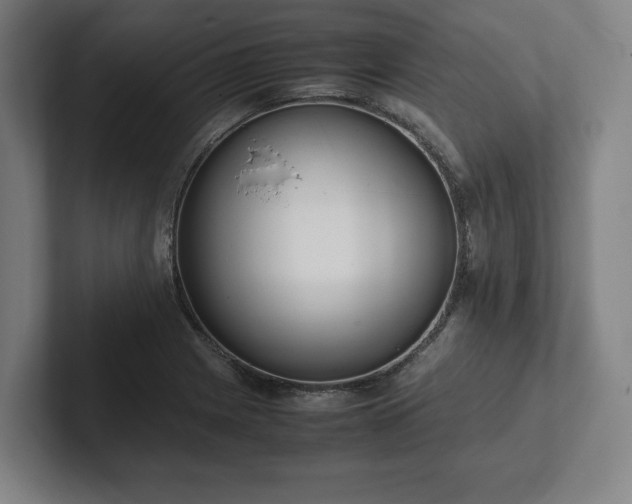 X0000101991225200807251219