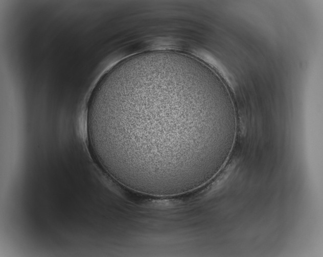 X0000101991227200807251219