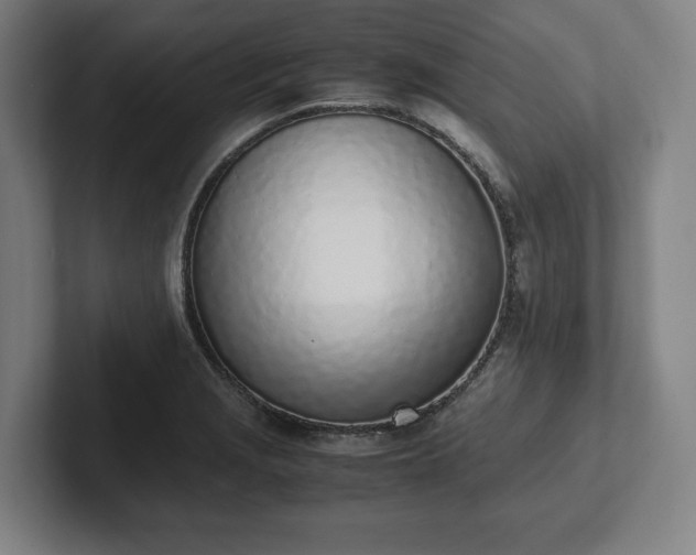 X0000101991229200807251219