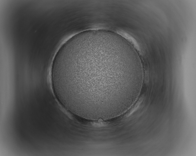 X0000101991231200807251219