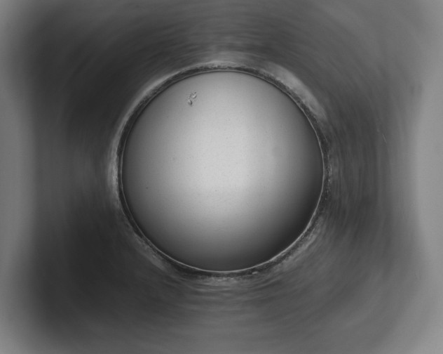 X0000101991232200807251219