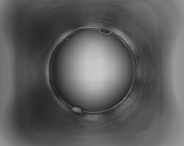 X0000101991237200807251219