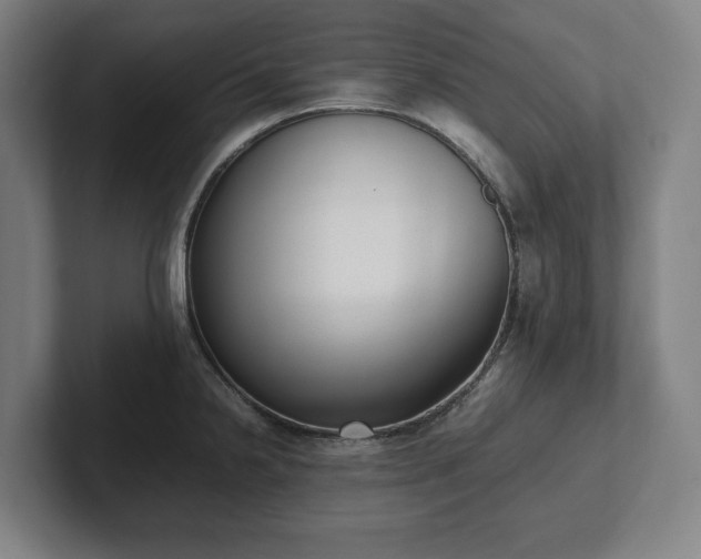 X0000101991238200807251219