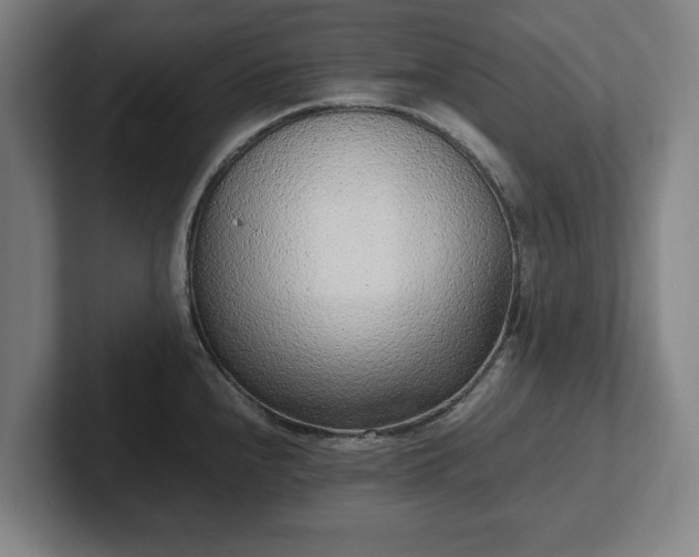 X0000101991240200807251219