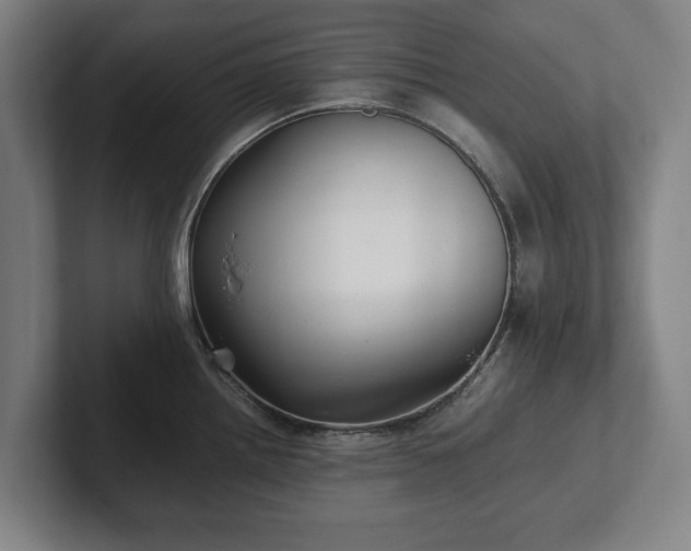X0000101991242200807251219