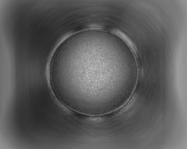 X0000101991243200807251219