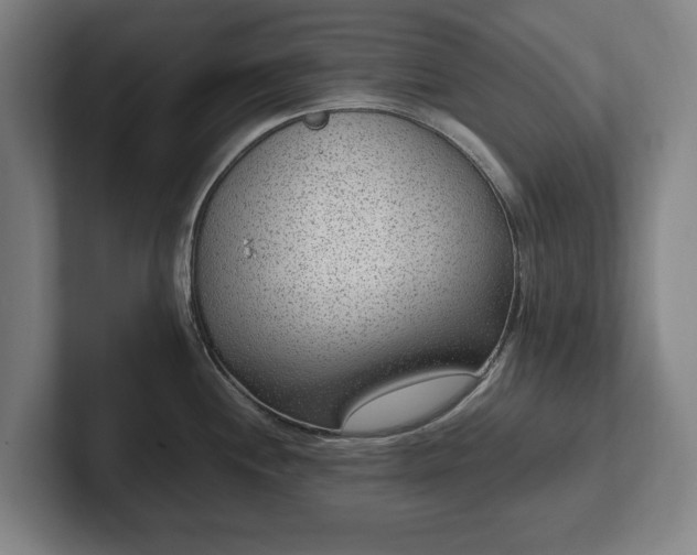 X0000101991244200807251219