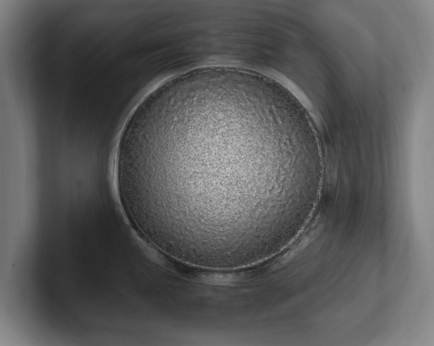 X0000101991245200807251219