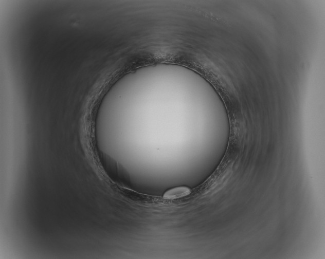 X0000101991249200807251219