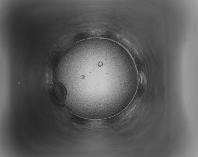 X0000101991251200807251219