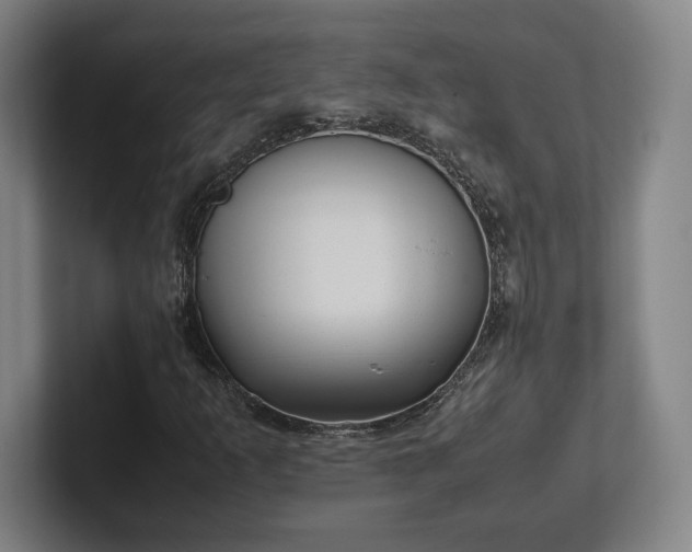 X0000101991253200807251219