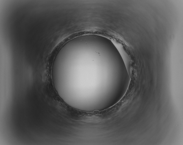 X0000101991256200807251219