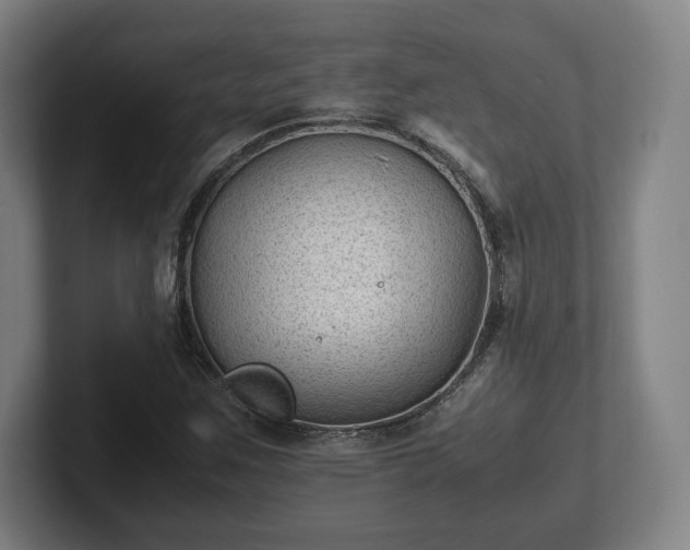 X0000101991259200807251219