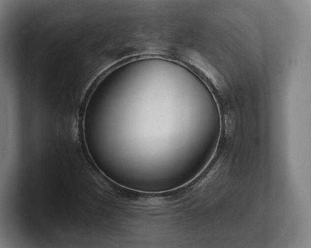X0000101991260200807251219
