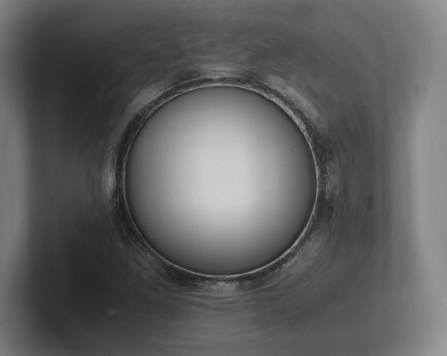 X0000101991261200807251219
