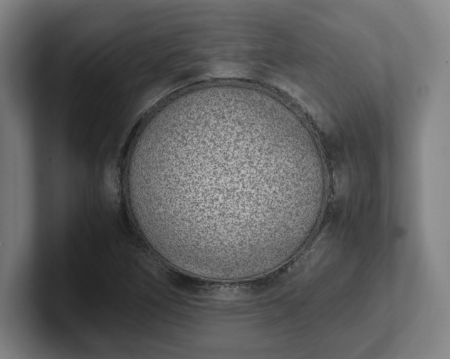 X0000101991266200807251219