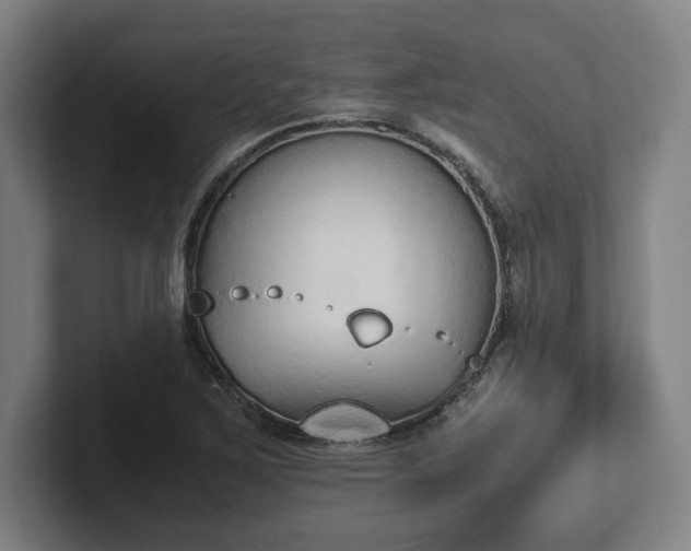 X0000101991267200807251219